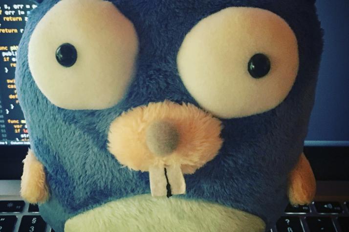 golang golang